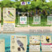‘Wingspan’ Oceania Expansion Review – Nectar of the Cards – TouchArcade
