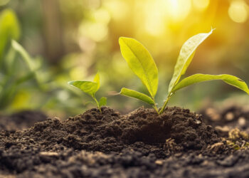 Canon Oceania launches 2024 Grants Program with AUD $40,000 fund