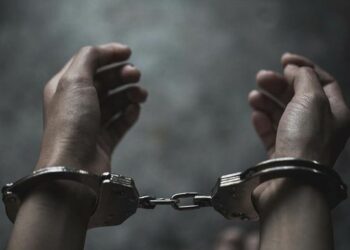 New Zealand ex-lawmaker convicted of shoplifting