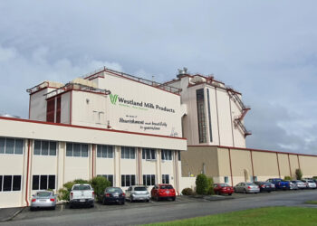 Oceania Dairy posts $19m loss as revenue falls 14% - BusinessDesk
