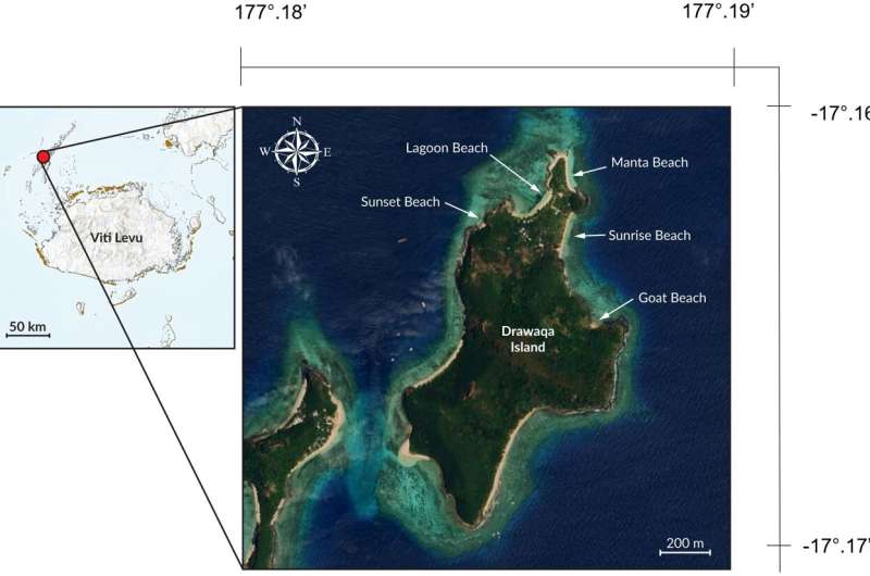 New study augments distribution and reproduction data for little-known female Oceania fantail rays