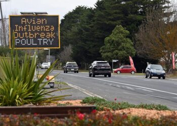 bird flu warning sign