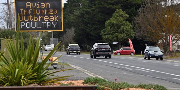 bird flu warning sign