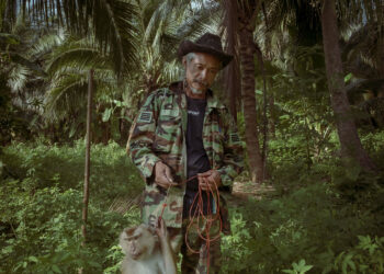 Urge Oceania Cruises to Sink Its Forced Monkey Labor Excursions