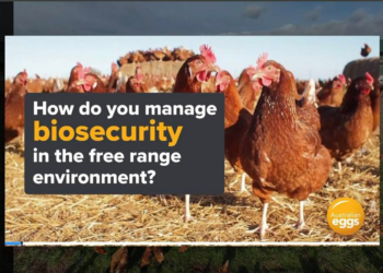 Australian egg farmers gain new biosecurity training tool