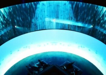 Datapath signals importance of climate change in Oceania