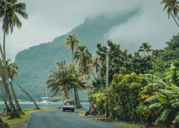 Road cuts through coconute trees with green tropical mountains in distance.