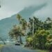 Road cuts through coconute trees with green tropical mountains in distance.